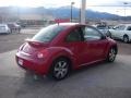 Volkswagen New Beetle 2.5 Coupe Salsa Red photo #5