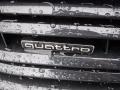 Audi A3 2.0 Premium quttaro Florett Silver Metallic photo #6