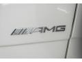 Mercedes-Benz G 65 AMG designo Manufaktur Mystic White photo #26