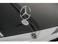 Mercedes-Benz S Maybach S 560 4Matic Magnetite Black Metallic photo #34