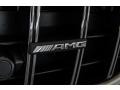 Mercedes-Benz AMG GT Roadster designo Diamond White Metallic photo #12