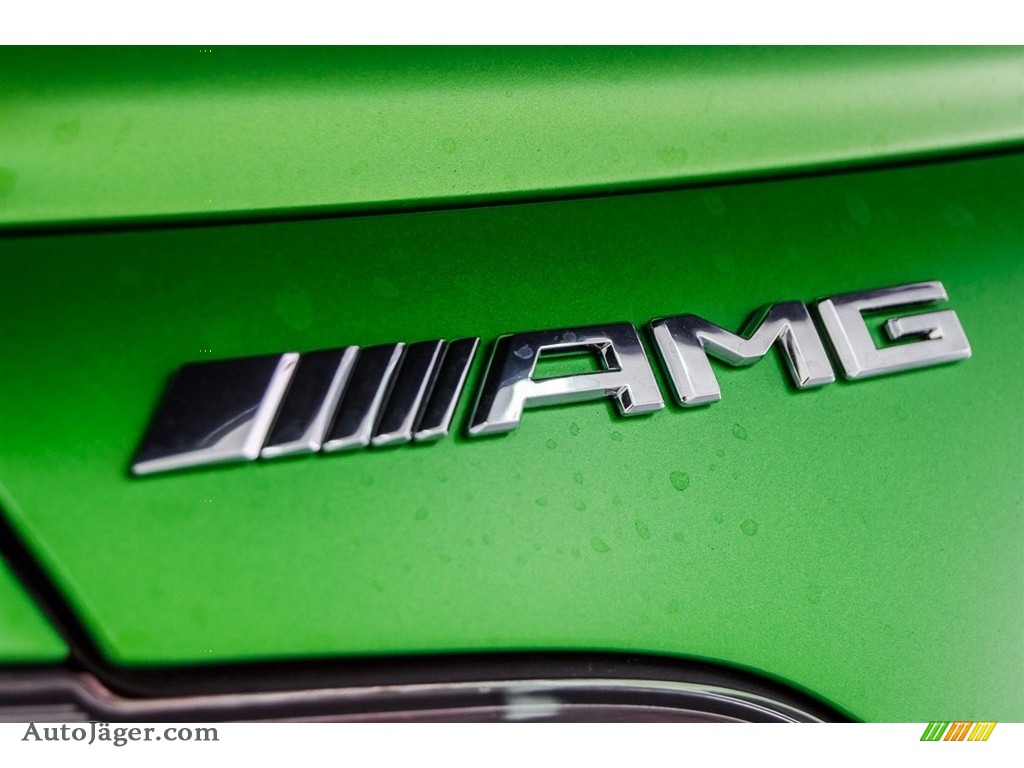 2018 AMG GT R Coupe - AMG Green Hell Magno / Black w/Dinamica photo #26