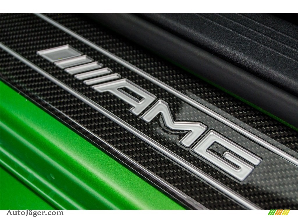 2018 AMG GT R Coupe - AMG Green Hell Magno / Black w/Dinamica photo #31