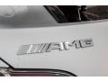 Mercedes-Benz AMG GT C Roadster designo Iridium Silver Magno (Matte) photo #28