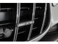 Mercedes-Benz AMG GT C Roadster designo Iridium Silver Magno (Matte) photo #35