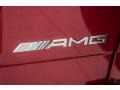 Mercedes-Benz G 63 AMG Storm Red Metallic photo #31