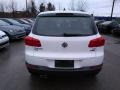 Volkswagen Tiguan Limited 2.0T 4Motion Pure White photo #5
