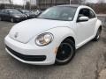 Volkswagen Beetle 2.5L Candy White photo #2
