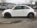 Volkswagen Beetle 2.5L Candy White photo #4