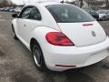 Volkswagen Beetle 2.5L Candy White photo #5