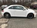 Volkswagen Beetle 2.5L Candy White photo #8