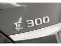 Mercedes-Benz C 300 4Matic Steel Grey Metallic photo #25