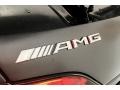 Mercedes-Benz AMG GT C Coupe designo Selenite Grey Magno (Matte) photo #16