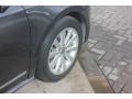 Volkswagen Passat 2.5L SEL Platinum Gray Metallic photo #11