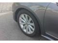 Volkswagen Passat 2.5L SEL Platinum Gray Metallic photo #14