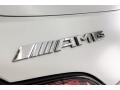 Mercedes-Benz AMG GT C Roadster designo Iridium Silver Magno (Matte) photo #26