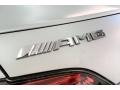 Mercedes-Benz AMG GT C Coupe designo Iridium Silver Magno (Matte) photo #26
