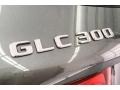Mercedes-Benz GLC 300 4Matic Selenite Grey Metallic photo #7