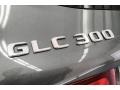 Mercedes-Benz GLC 300 Selenite Grey Metallic photo #7