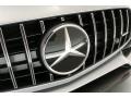 Mercedes-Benz AMG GT C Coupe designo Iridium Silver Magno (Matte) photo #31