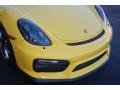 Porsche Cayman GT4 Racing Yellow photo #30