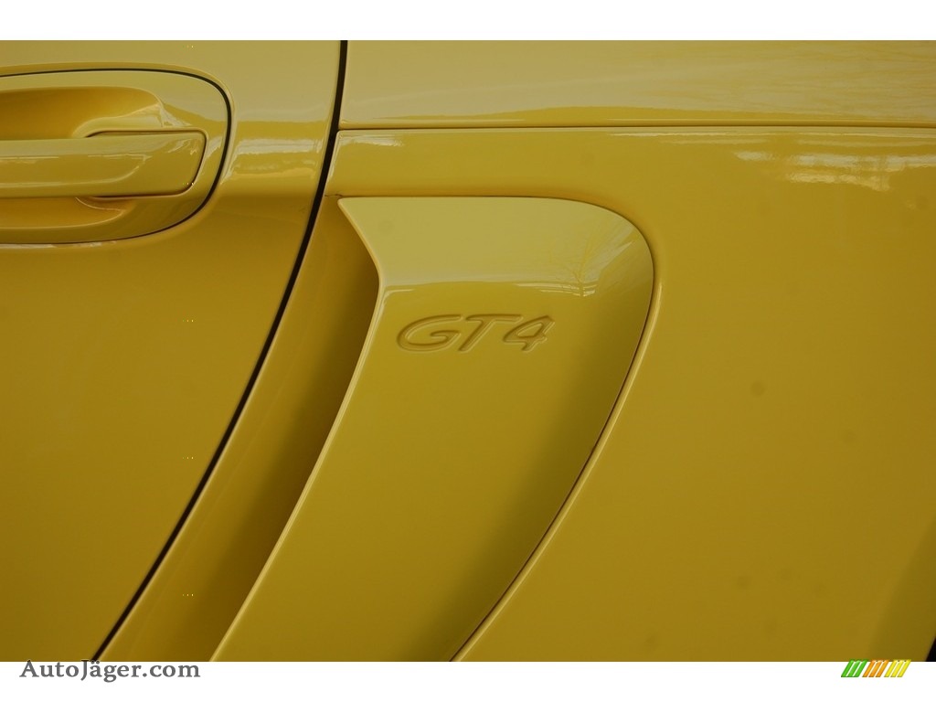 2016 Cayman GT4 - Racing Yellow / Black photo #31