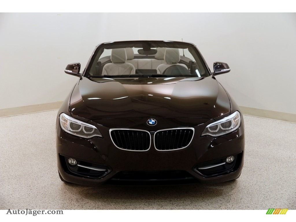 2016 2 Series 228i xDrive Convertible - Sparkling Brown Metallic / Oyster photo #3