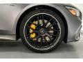 Mercedes-Benz AMG GT 63 S designo Selenite Grey Magno (Matte) photo #9