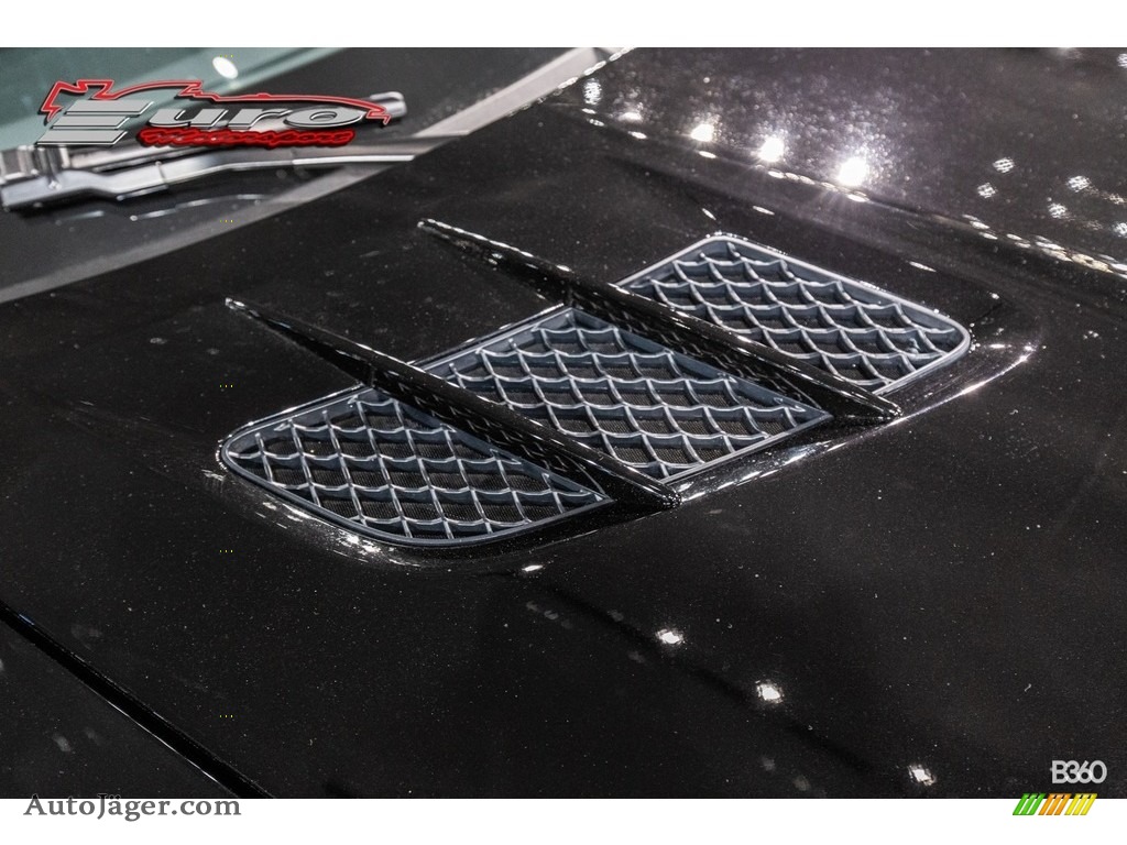 2014 SLS AMG GT Coupe Black Series - Obsidian Black Metallic / designo Black w/Alcantara photo #24