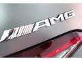 Mercedes-Benz AMG GT 53 designo Selenite Grey Magno (Matte) photo #27