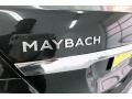 Mercedes-Benz S Maybach S560 4Matic Magnetite Black Metallic photo #27