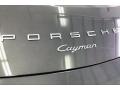 Porsche Cayman  Agate Grey Metallic photo #7
