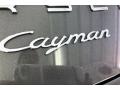 Porsche Cayman  Agate Grey Metallic photo #24