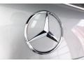 Mercedes-Benz AMG GT R Coupe Iridium Silver Metallic photo #7
