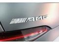 Mercedes-Benz AMG GT 63 S designo Selenite Grey Magno (Matte) photo #27
