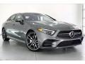 Mercedes-Benz CLS 53 AMG 4Matic Coupe Selenite Gray Metallic photo #12