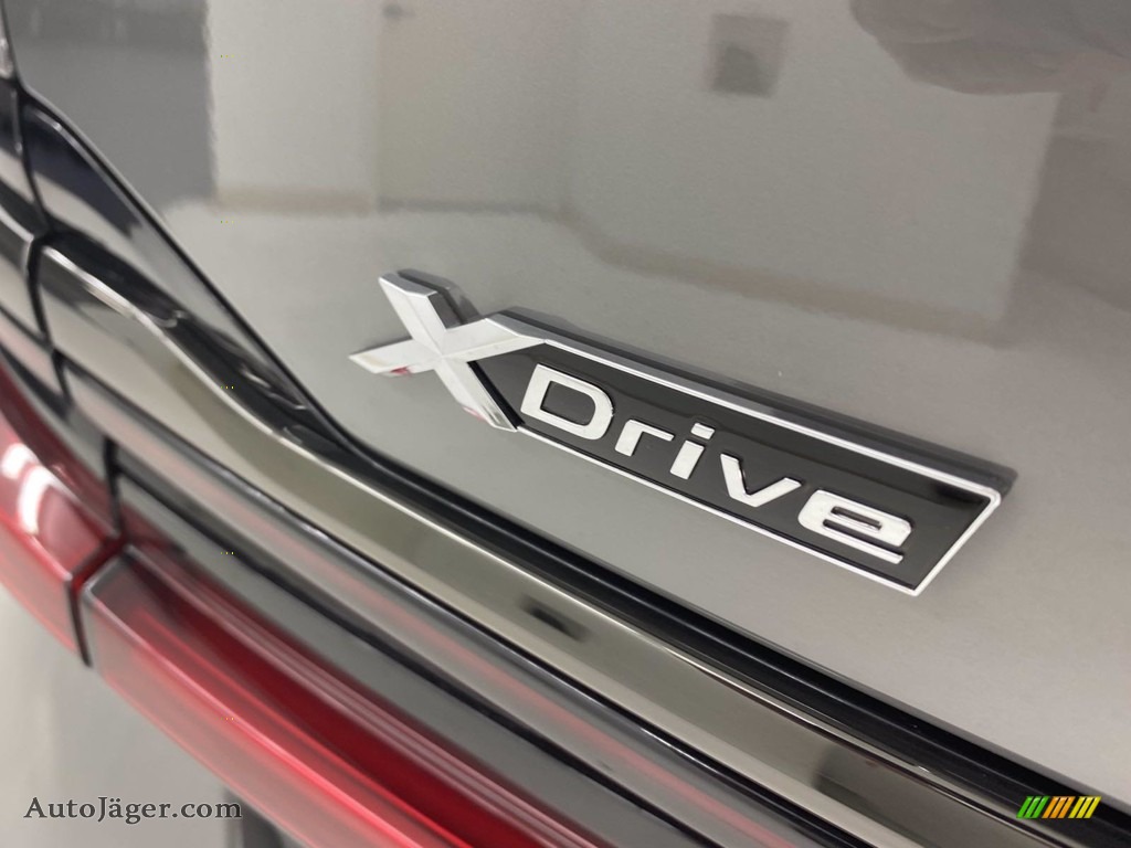 2021 7 Series 750i xDrive Sedan - Bernina Gray Amber Effect / Black photo #10