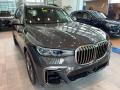 BMW X7 M50i Dravit Grey Metallic photo #1