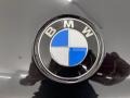 BMW X5 sDrive40i Black Sapphire Metallic photo #5
