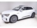 Audi e-tron Prestige quattro Glacier White Metallic photo #3