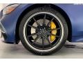 Mercedes-Benz AMG GT 63 designo Brilliant Blue Magno (Matte) photo #10