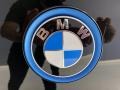 BMW i3 with Range Extender Protonic Blue Metallic photo #10
