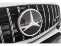 Mercedes-Benz AMG GT C Coupe designo Iridium Silver Magno (Matte) photo #33