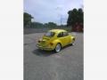 Volkswagen Beetle Coupe Rally Yellow photo #6
