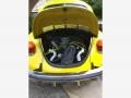 Volkswagen Beetle Coupe Rally Yellow photo #7