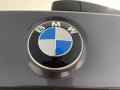 BMW X1 sDrive28i Mineral Grey Metallic photo #10