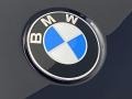 BMW X6 M50i Carbon Black Metallic photo #5