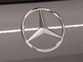 Mercedes-Benz GLE 43 AMG 4Matic Selenite Grey Metallic photo #9