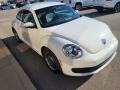 Volkswagen Beetle 2.5L Candy White photo #13