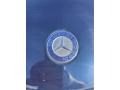 Mercedes-Benz GL 550 4Matic Lunar Blue Metallic photo #8